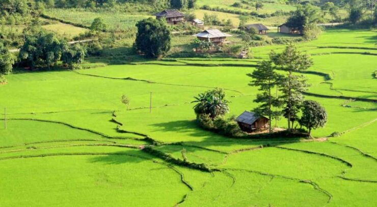 From Hanoi: 3-Day Motorbike Ha Giang Loop With Easy Rider - Good To Know