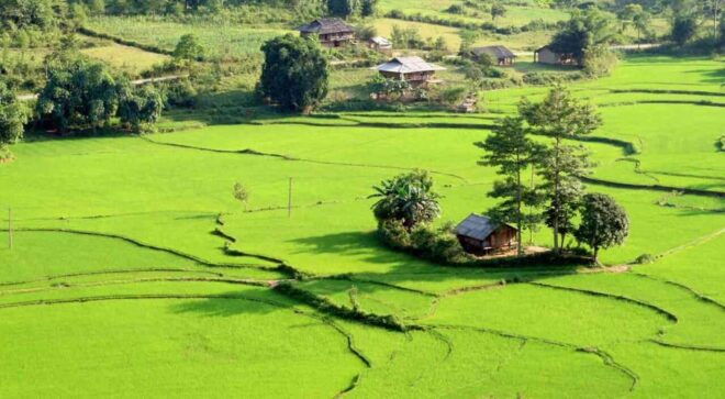 From Hanoi: 3-Day Motorbike Ha Giang Loop With Easy Rider - Day 3: Du Gia to Ha Giang