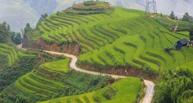 From Hanoi: 3-Day Sapa Trek With Guide, Homestay and Meals - Customer Reviews and Additional Information