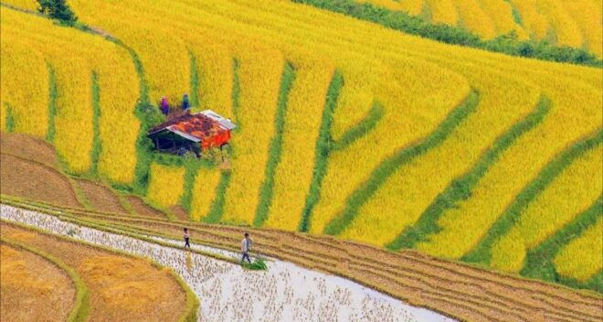 From Hanoi: 3-Day Sapa Trek With Guide, Homestay and Meals - Location and Things to Do in Sa Pa