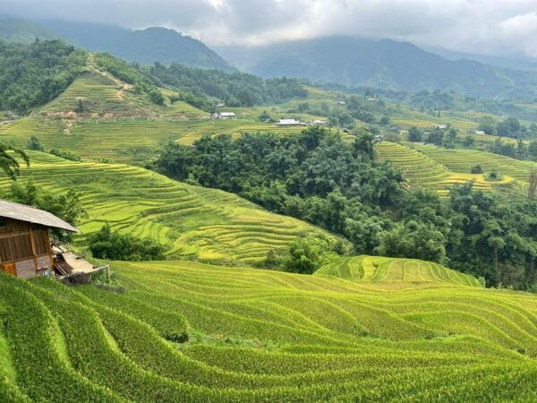 From Hanoi: 6-Day North-West Motorcycle Tour - Riding Experience and Terrain