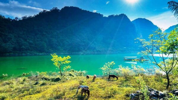 From Hanoi: Airport Private Transfer to Mai Chau - Tips for a Smooth Journey