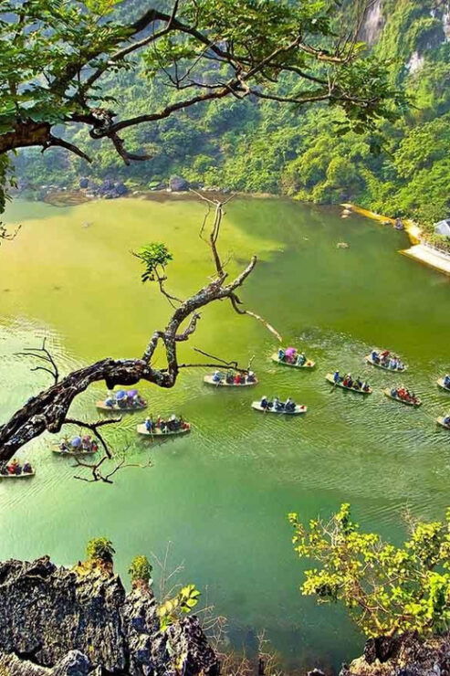 From Hanoi: Bai Dinh Pagoda, Trang An And Mua Cave Day Tour - Bai Dinh Pagoda Experience