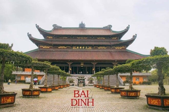 From Hanoi: Bai Dinh, Trang An, and Mua Cave Day Trip - Included Services