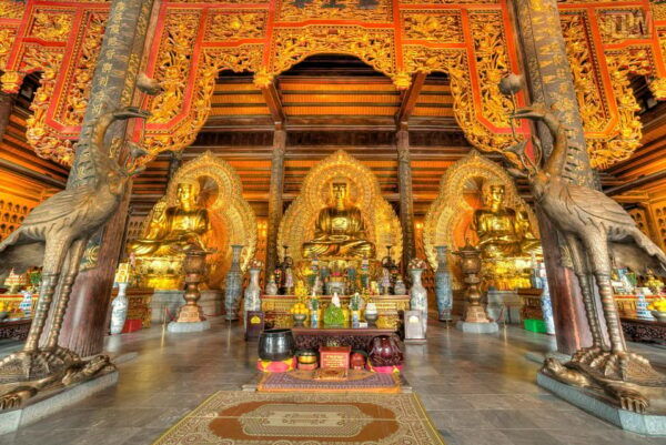 From Hanoi: Bai Dinh, Trang An, Mua Cave 1 Day Tour - Inclusions of the Tour
