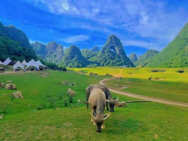 From Hanoi: Ban Gioc Waterfall 2 Day 1 Night - Small Group - Exclusions to Consider