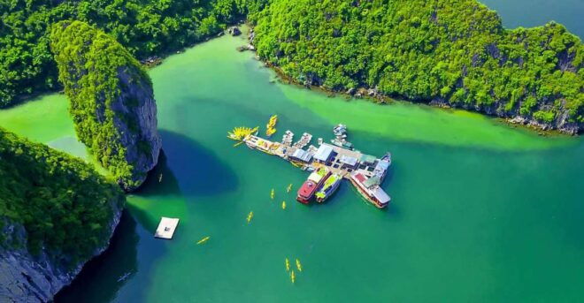 From Hanoi: Cat Ba Island 2-Day Trip With Homestay and Meals - Highlights of the Experience