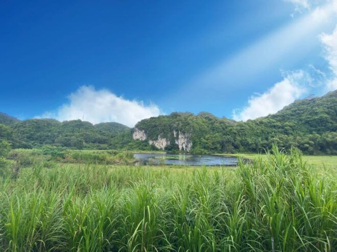 From Hanoi: Cat Ba Island 2-Day Trip With Homestay and Meals - Itinerary