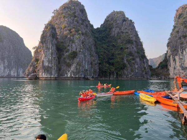 From Hanoi: Cat Ba Island 2-Day Trip With Homestay and Meals - Accommodation