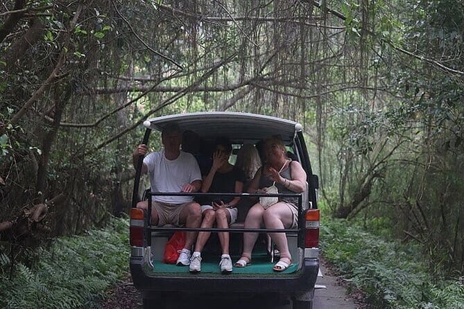 From Hanoi: Cat Ba Island- Lan Ha Bay Day Trip on Luxury Cruise - Who Will Love This Tour?