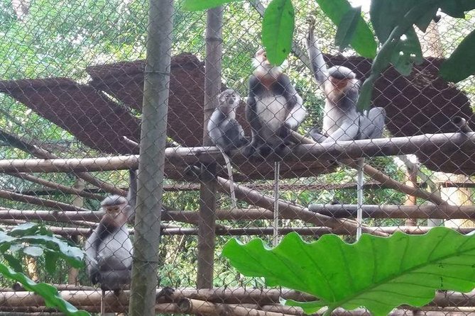 From Hanoi: Cuc Phuong National Park Day Trip by Private Car - Traveler Photos and Reviews