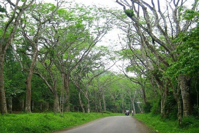 From Hanoi: Cuc Phuong National Park Day Trip by Private Car - Common Questions