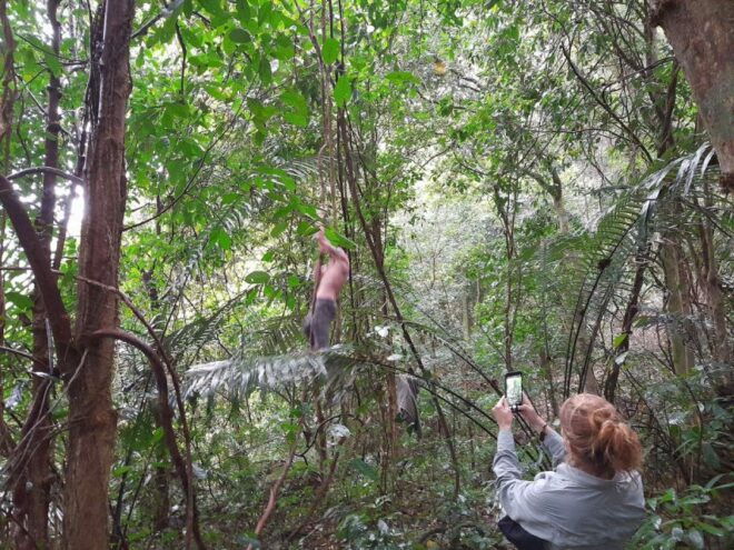 From Hanoi: Cuc Phuong National Park Full Day Small Group - Schedule