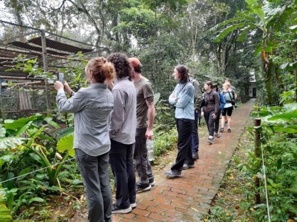 From Hanoi: Cuc Phuong National Park Full Day Small Group - Common Questions