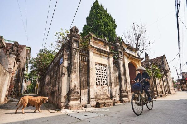 From Hanoi: Cuu, Quang Phu Cau, & Quan Son Lake Cycling Tour - Traveler Experiences