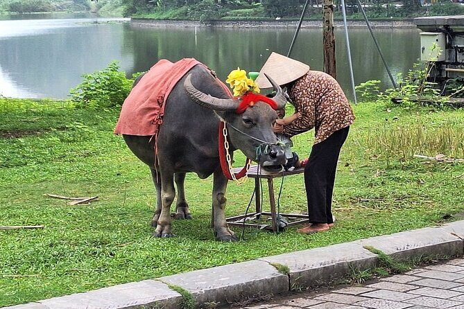 From Hanoi: Deluxe Day Trip to Hoa Lu Ancient Capital, Tam Coc - Practical Tips for Travelers