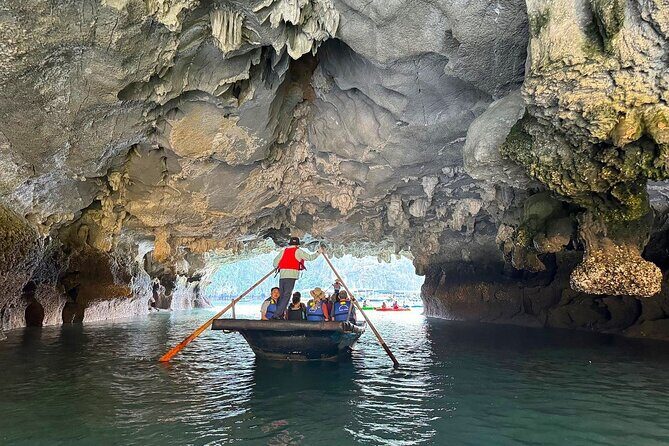 From Hanoi: Deluxe Halong Bay Day Trip with Hercules Cruise - Possible Drawbacks and Considerations