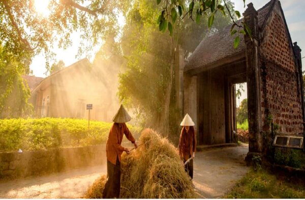 From Hanoi: Duong Lam Ancient Village Day Tour With Lunch - Transportation Details