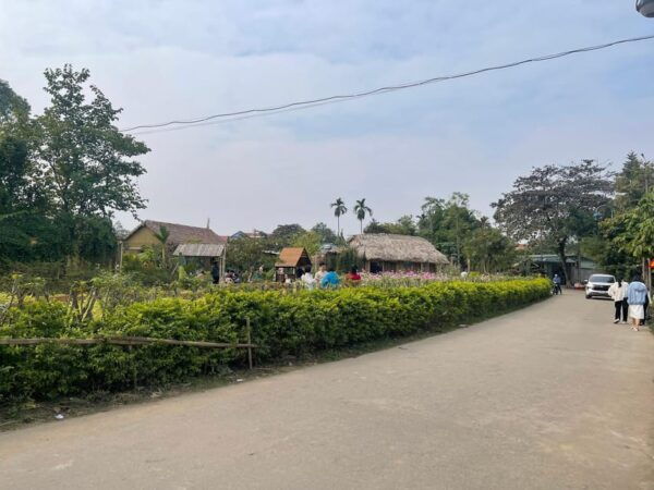 From Hanoi: Duong Lam Ancient Village Private Tour - Local Cuisine and Dining