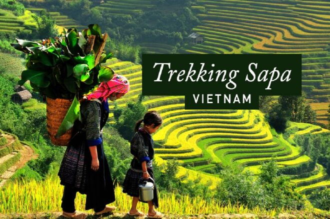 FROM HANOI: EXPLORE CATCAT–FANSIPAN - HANOI 2 Days 1 Night - Day 2 Adventures