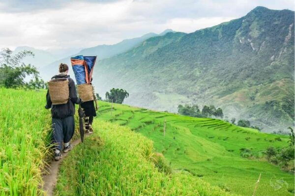 FROM HANOI: EXPLORE CATCAT–FANSIPAN - HANOI 2 Days 1 Night - Additional Costs