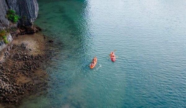 From Hanoi: Explore Ha Long Bay 1 Day With A Luxury Cruise - Tips for Your Trip