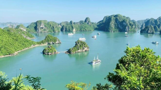 From Hanoi: Explore Halong Bay 1 Day - Important Information