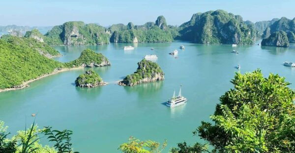 From Hanoi: Explore Halong Bay 1 Day - Booking and Cancellation Policy