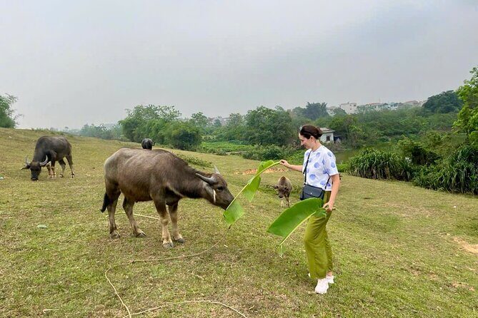 From Hanoi: Explore Hidden Gems of Duong Lam with Jeep Tour - FAQ