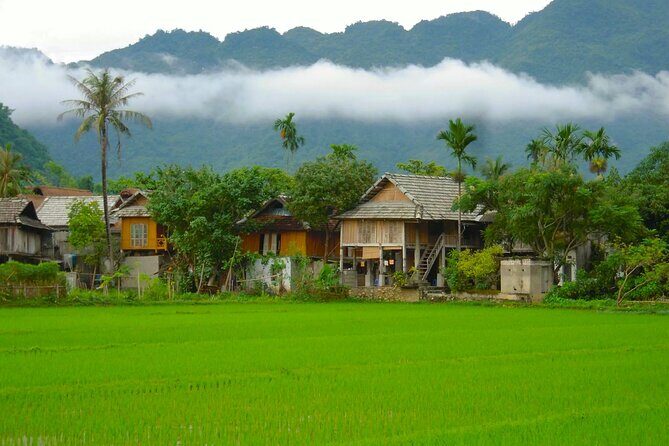 From Hanoi: Explore Mai Chaus Rural Villages & Scenic Valleys - Who Will Love This Tour?