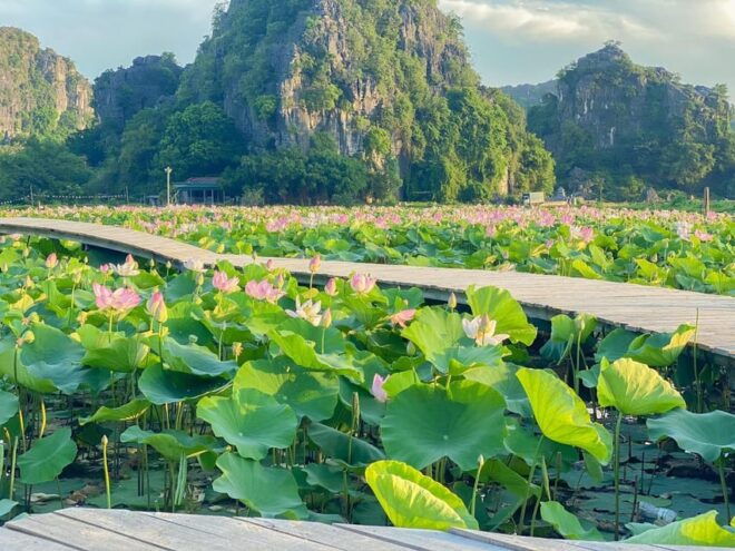 From Hanoi Explore Ninh Binh - A Land Of Peaceful For 2 Days - Private Group Option