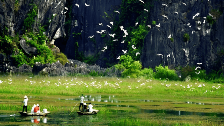 From Hanoi: Explore Ninh Binh & The Hidden Gems In 2 Days - Day 1: Exploration of Hoa Lu, Tam Coc, and Mua Cave