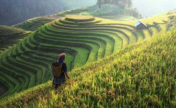 From Hanoi: Explore Sapa 2-Day Tour - Customer Reviews and Ratings