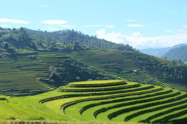 From Hanoi: Explore Sapa 2-Day Tour - Overview of the Sapa 2-Day Tour