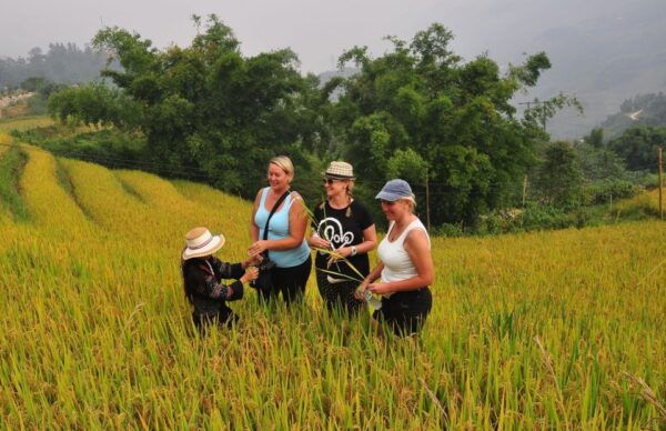 From Hanoi: Explore Sapa 2-Day Tour - The Sum Up