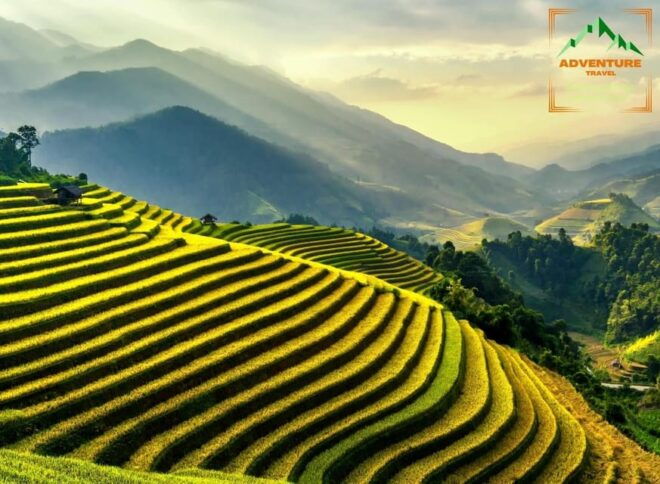 From Hanoi: Explore Sapa - A City Of Fog For 3 Days - Transportation and Guides