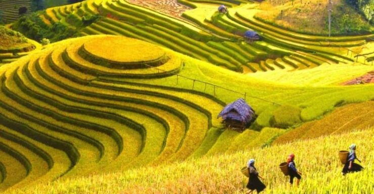 From Hanoi: Explore Sapa In 3 Days 2 Nights - Good To Know