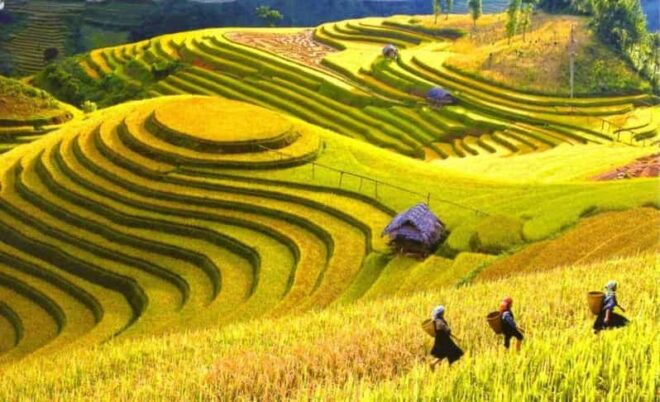 From Hanoi: Explore Sapa In 3 Days 2 Nights - Day 1: Hanoi to Sapa