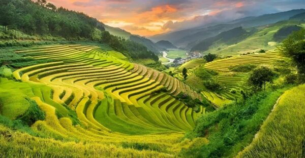 From Hanoi: Explore Sapa - Land Of Terraced Fields For 2 Day - Additional Information