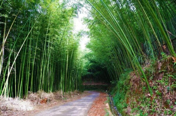 From Hanoi: Explore Sapa & Local Village 3 Days - Day 3 Itinerary