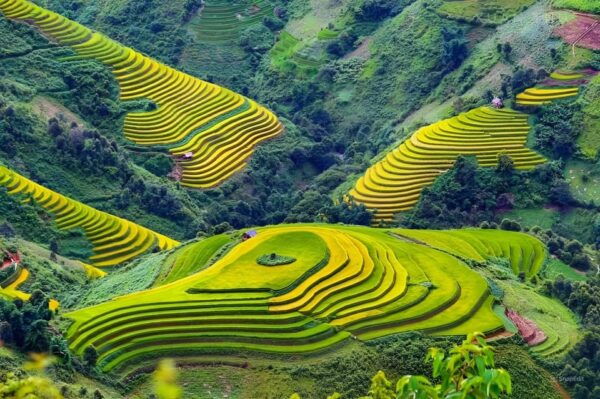 From Hanoi: Explore Sapa & Local Village 3 Days - Inclusions and Exclusions