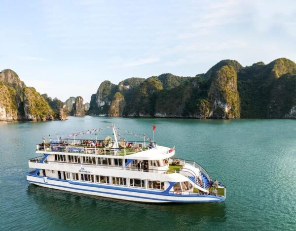 From Hanoi: Full-Day Halong Cruise- Lunch, Kayak, Visit Cave - Tips for a Great Experience