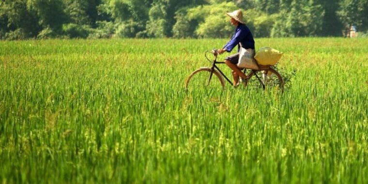 From Hanoi: Full-Day Mai Chau Group or Private Tour - Inclusions and Exclusions