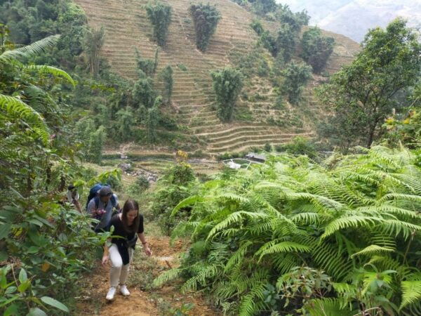 From Hanoi: Guided 2-Day Tour of Sa Pa With Lunch & Dinner - The Sum Up