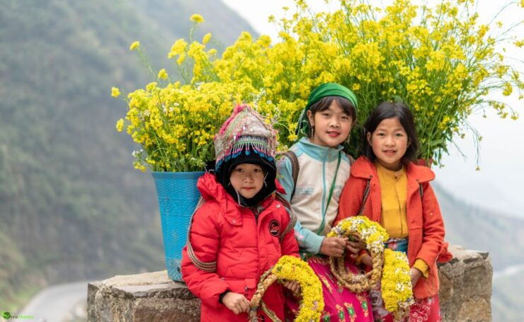 From Hanoi: Ha Giang Guided 3-Day Trip - Accommodations