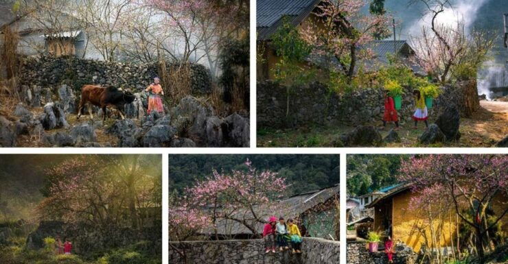 From Hanoi: Ha Giang Loop 4 Days 4 Nights With Easy Rider - Activity Details