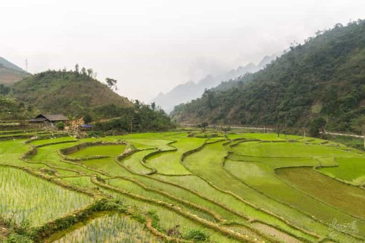 From Hanoi: Ha Giang Motorbike Tour 3 Days With Local Rider - Good To Know