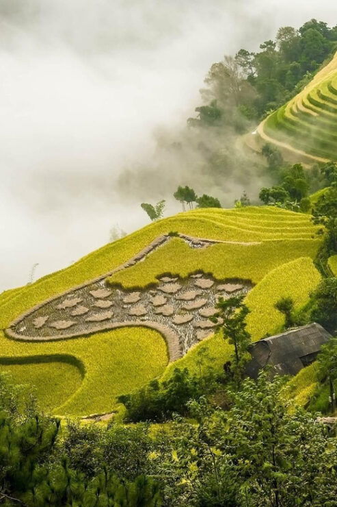 From Hanoi: Ha Giang Motorbike Tour 3 Days With Local Rider - Itinerary Highlights