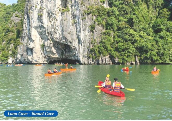 From Hanoi: Ha Long Bay 1 Day Charter Full Cruise - Culinary Experience