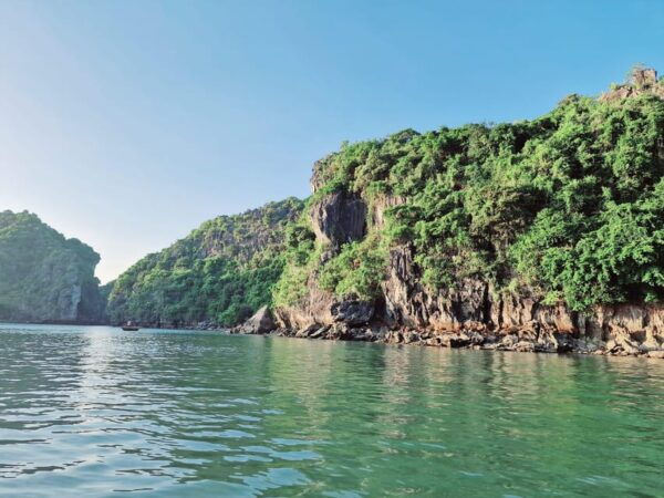 From Hanoi: Ha Long Bay 1 Day Tour - Dining Options